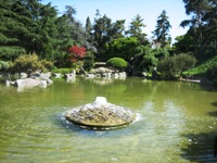 Japanese Friendship Garden San Jose 7.JPG